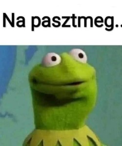 profilkép profilkép