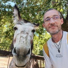 Antal társkereső fénykép