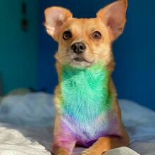 Sebastian társkereső fénykép